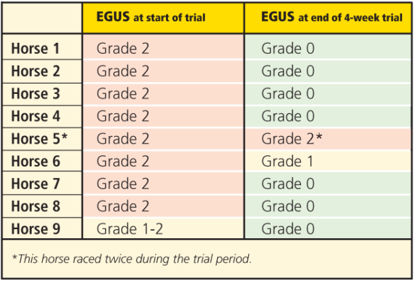 Get The Edge With 4-in-1 Plus | Advantage Edge